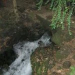 چشما گل روستای طالم سه شنبه سنگر