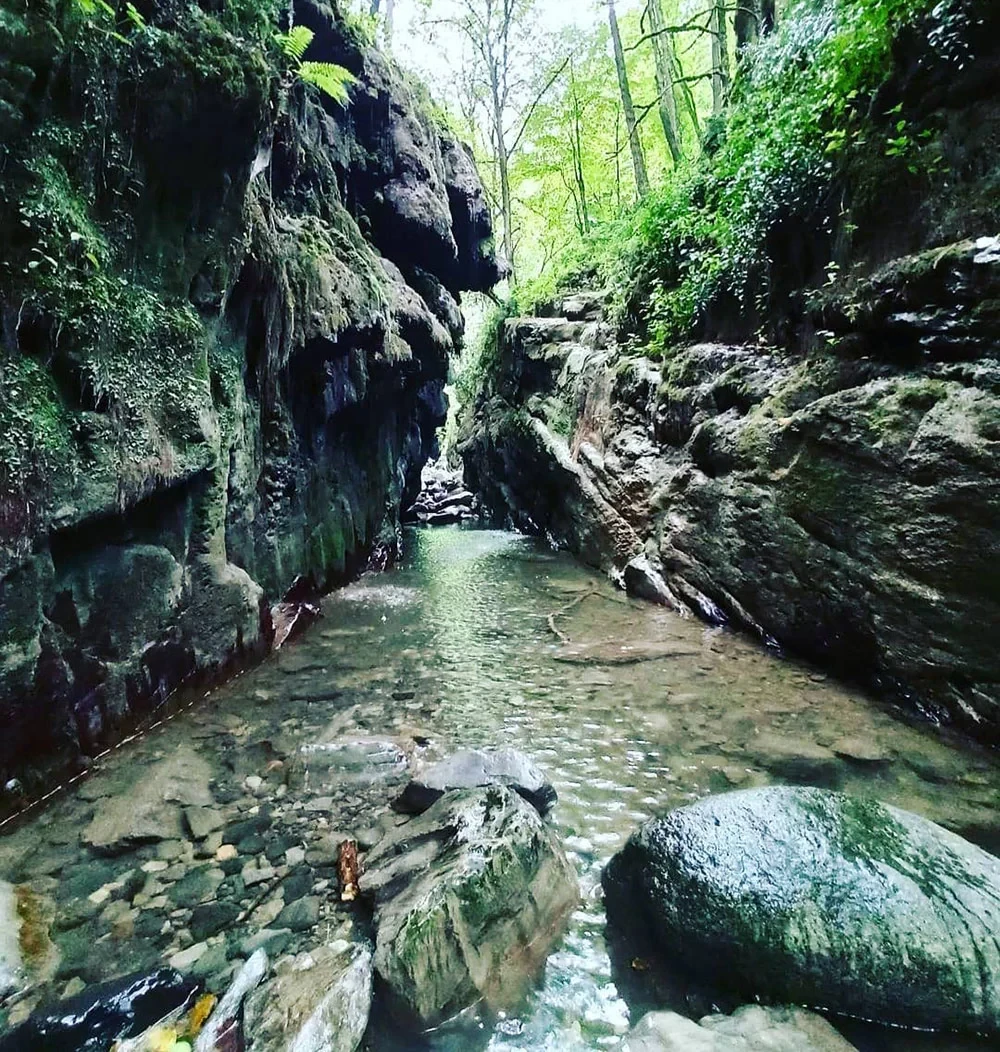 آبشار ماهی مشو خرطای لنگرود