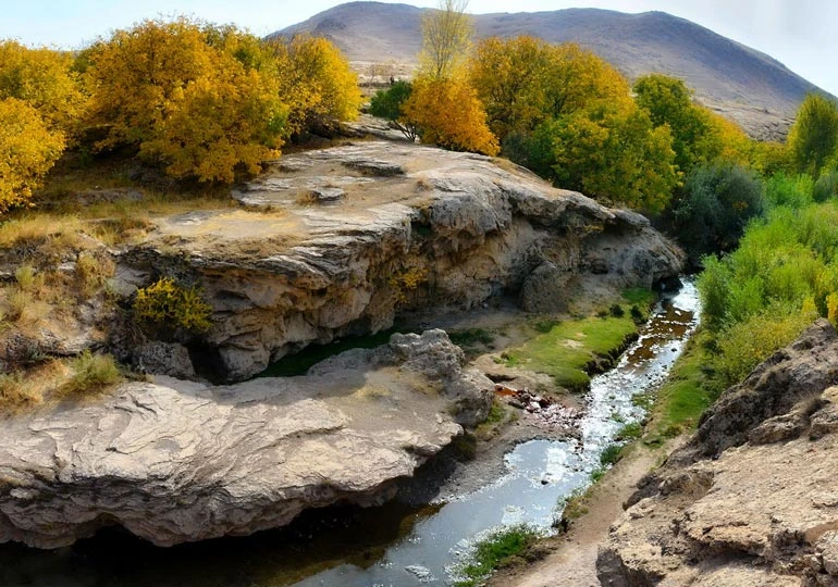 چشمه شورسو چای باغی مراغه