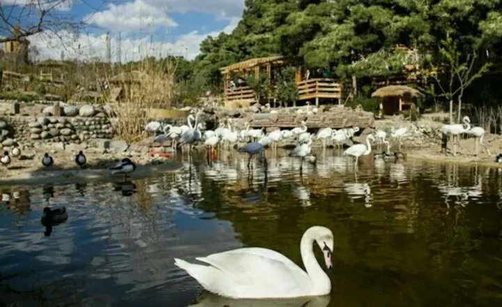 پارک جنگلی لویزان تهران