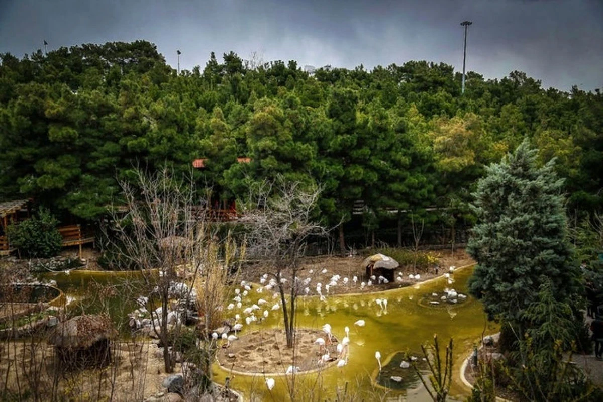 پارک جنگلی یاس تهران