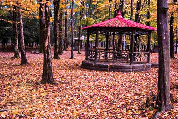 پارک جنگلی خرگوش دره تهران