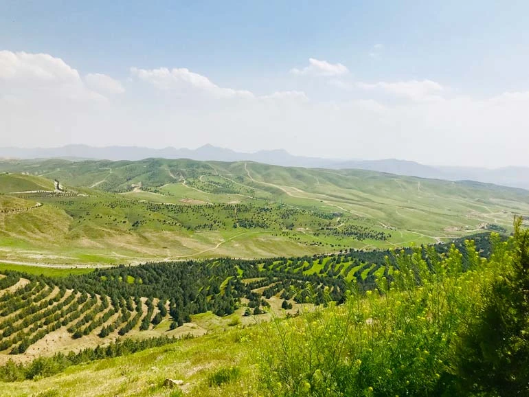 پارک جنگلی تلو تهران