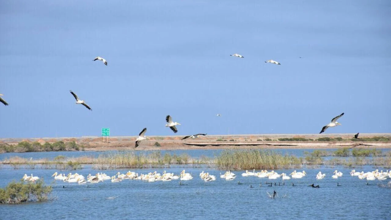 تالاب عشق آباد ری تهران