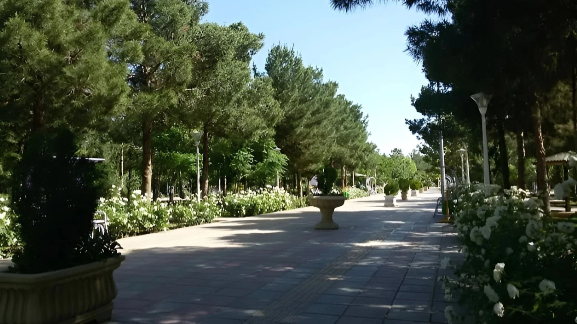 بوستان امام رضا قم