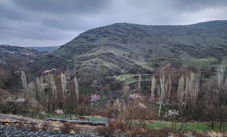 جنگل جیغ روستای سربرج مشهد