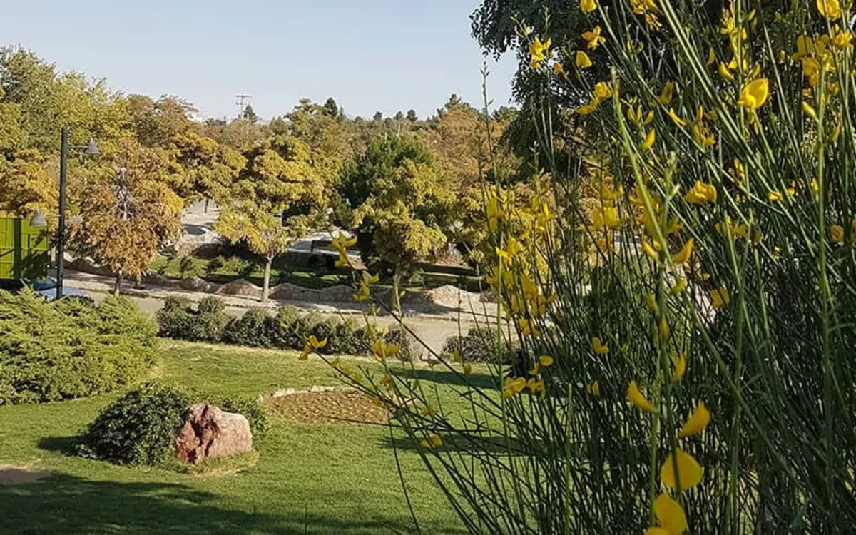 پارک جنگلی پیشکوه تربت حیدریه