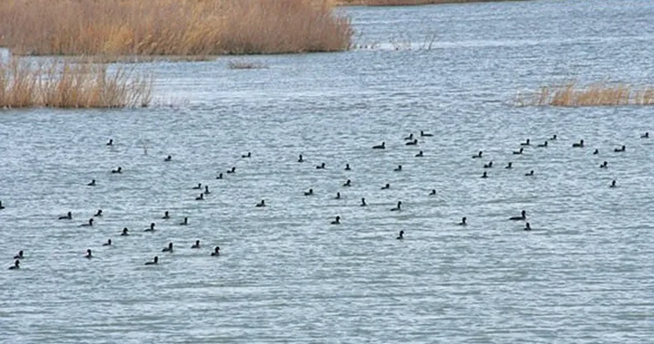 منطقه حفاظت شده سیر خون خواف
