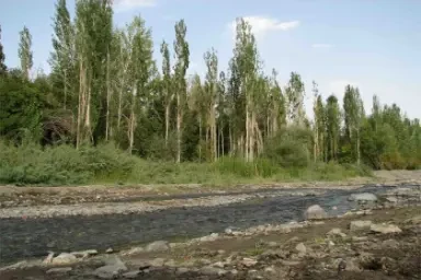 Kuhsorkh Riyush Kashmar