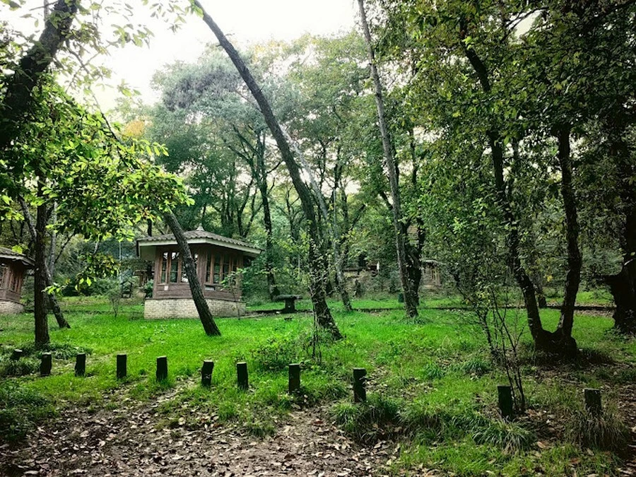 پارک شهید زارع ساری