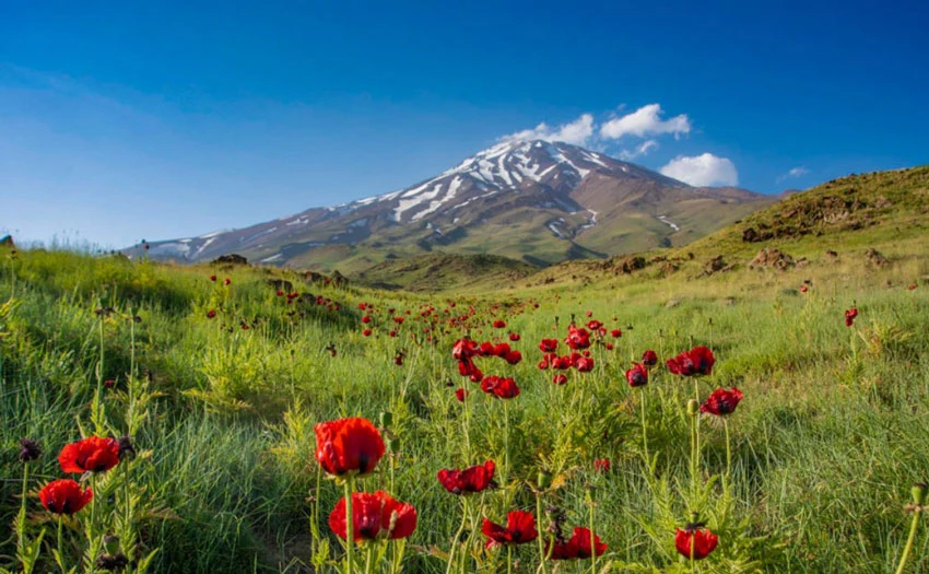 Mount and Peak Damavand