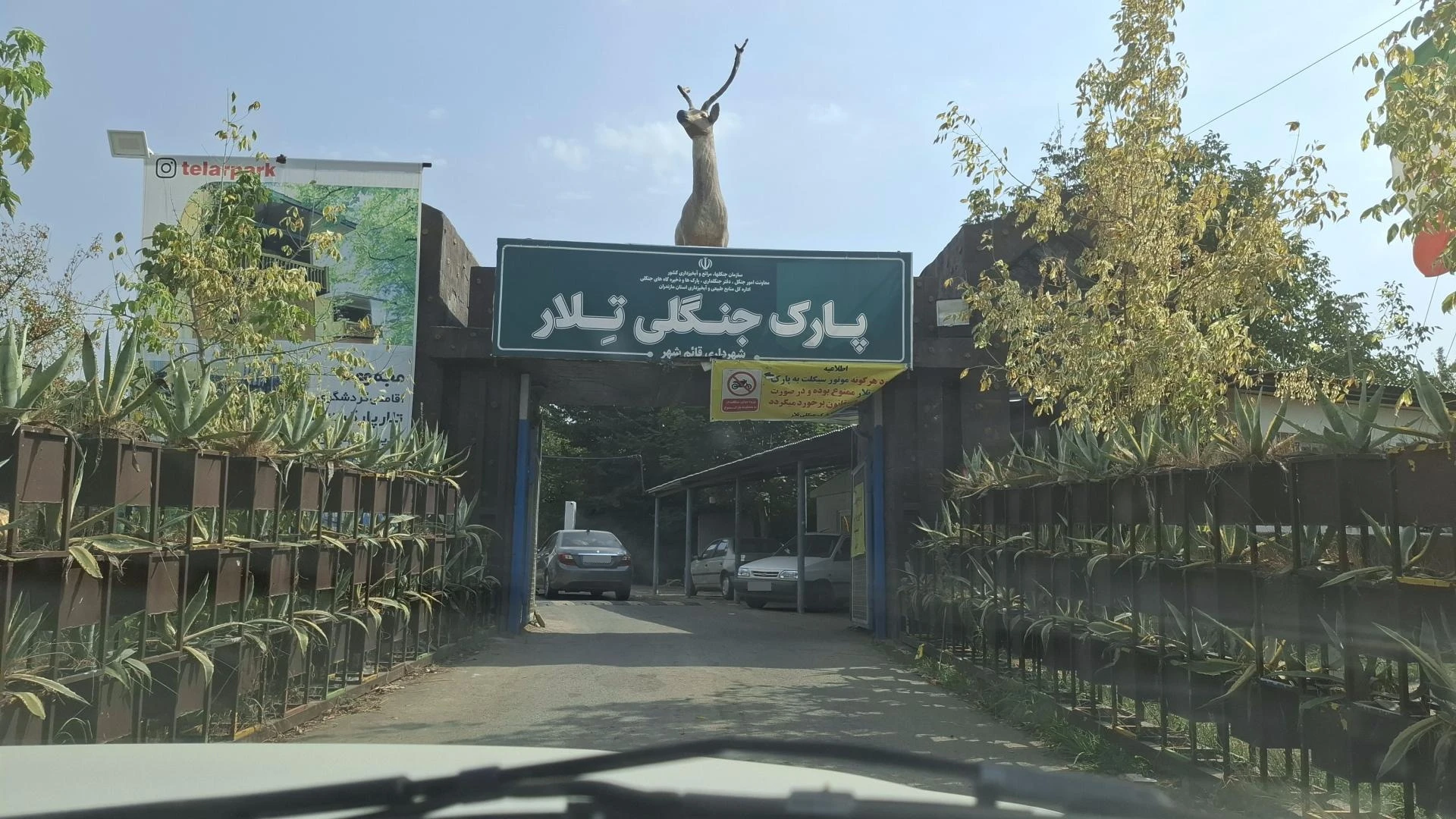 پارک جنگلی تلار قائم شهر