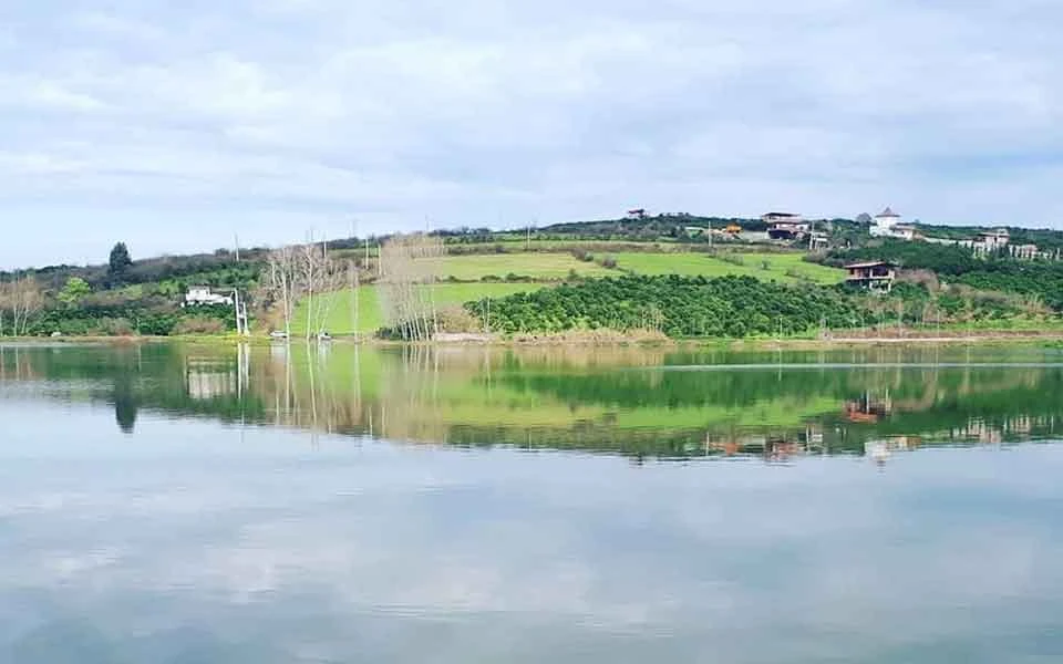 جنگل و روستای کوتنا