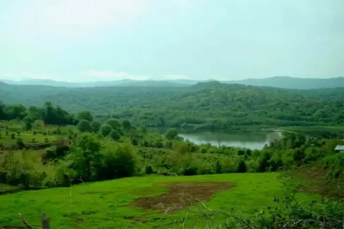  جنگل و منطقه حفاظت شده  خیبوس