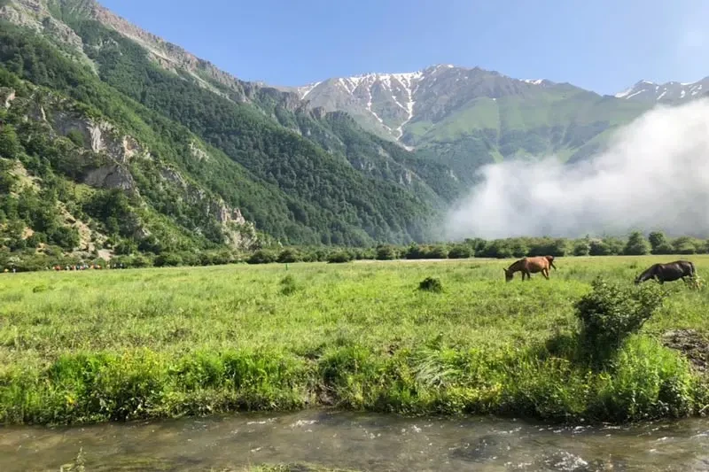 千亩保护区贝什哈尔