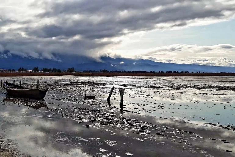  تالاب گز میانکاله بهشهر