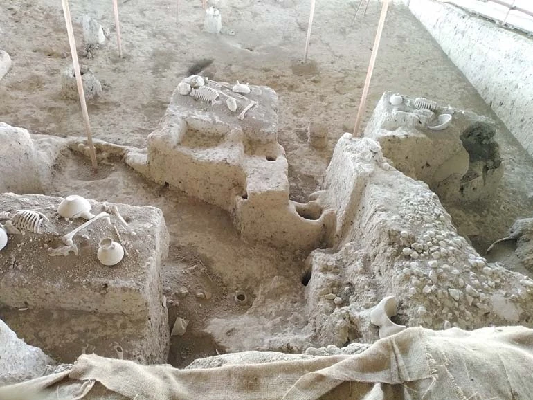 古哈尔塔佩博物馆遗址 贝什哈尔