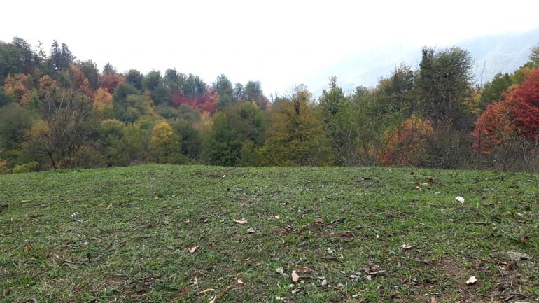  پارک ملی پابند بهشهر