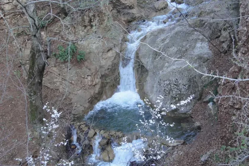 روستای ارم نکا