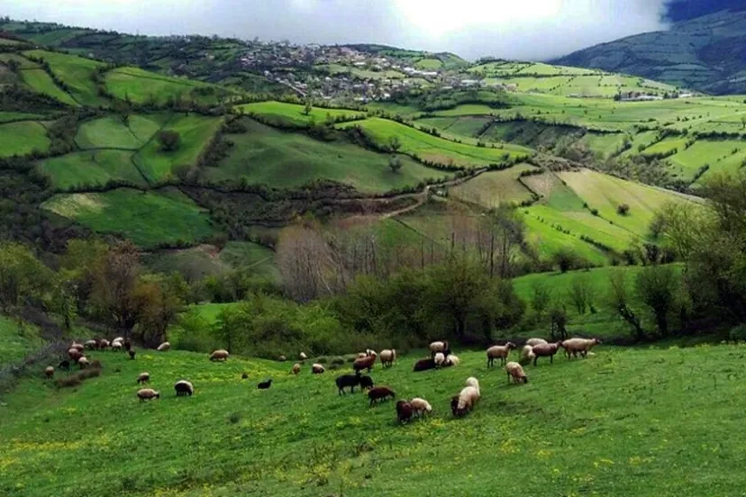 روستای کچپ محله نکا