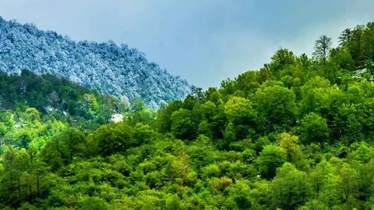 Station estivale d'Aghuzhal, Tonekabon