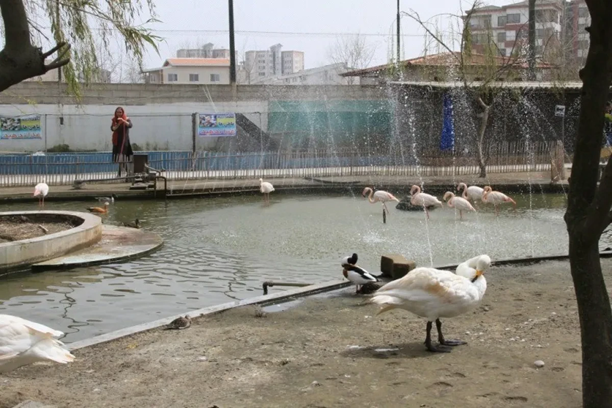 باغ پرندگان فریدونکنار