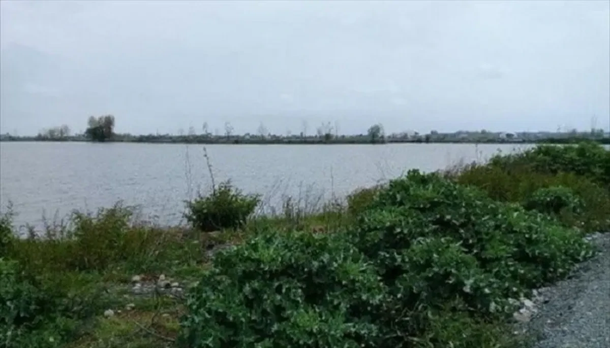 تالاب شیرا فریدونکنار