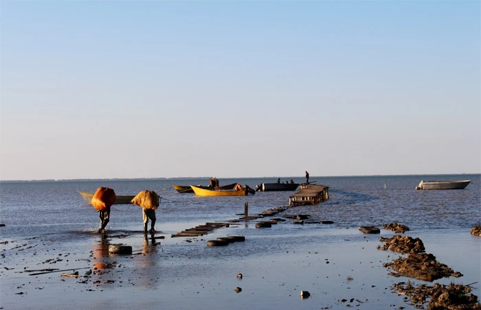 ساحل آرام گلوگاه