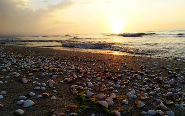 ساحل گیلماز عباس آباد