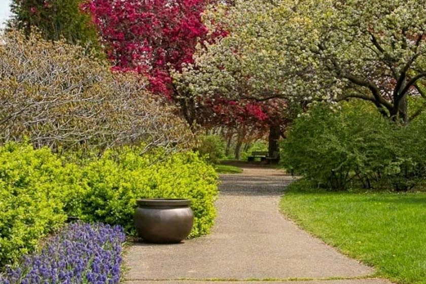 باغ گیاه شناسی نوشهر