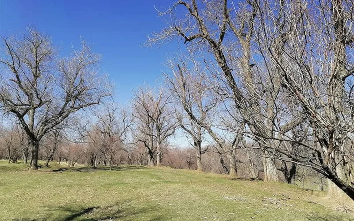 دره گزندر سرابی تویسرکان