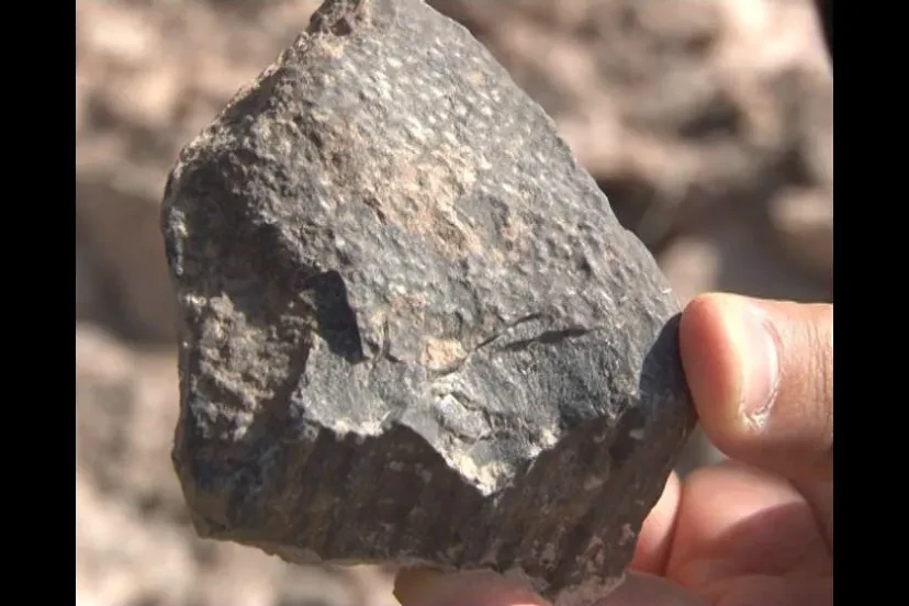 منطقه فسیلی سپاهان شاهین شهر