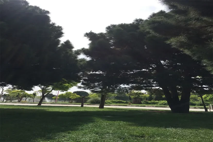 بوستان پارک استان شاهین شهر