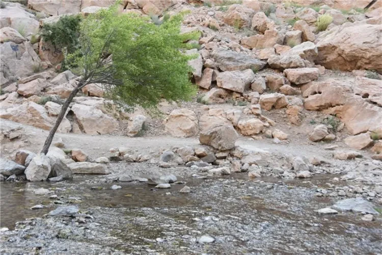 زر چشمه شهرضا