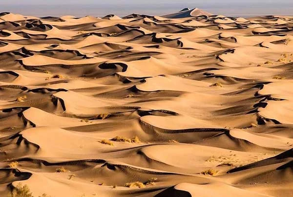 تخت عروس خور و بیابانک