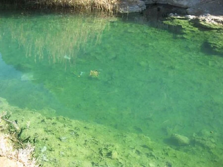 چشمه ترش حارث آباد جرقویه