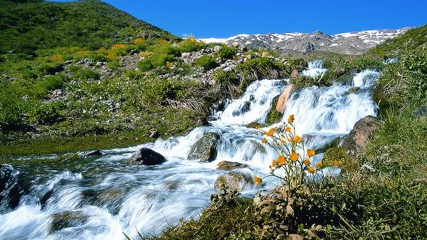 چشمه میشی سی سخت یاسوج