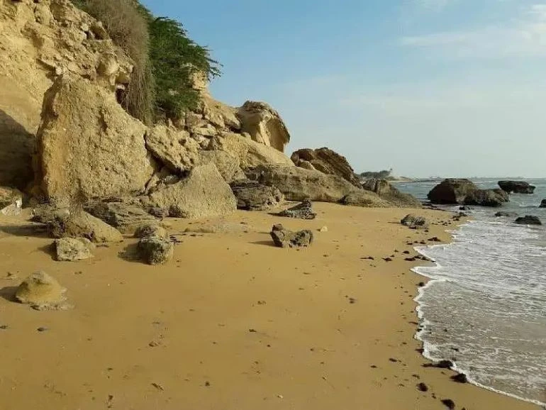 布什尔里沙赫尔海岸