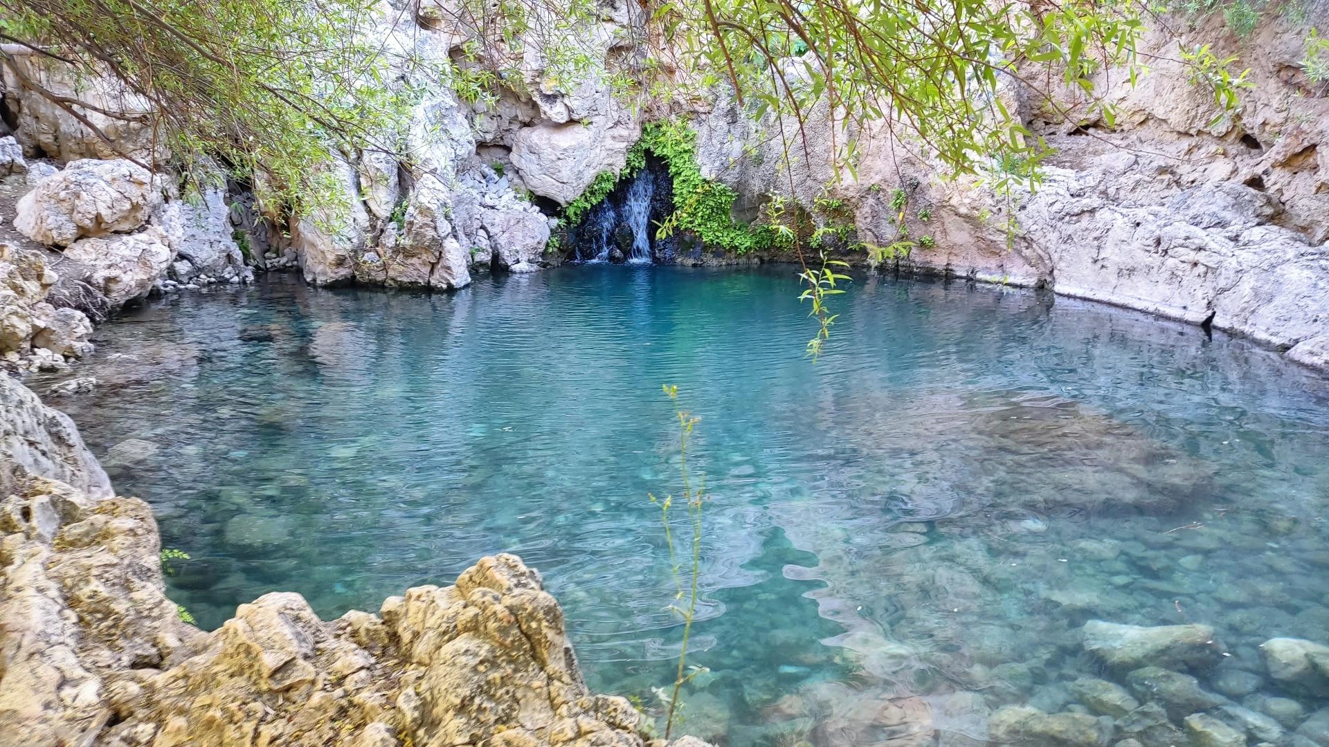 Tang Baniyon Bushehr