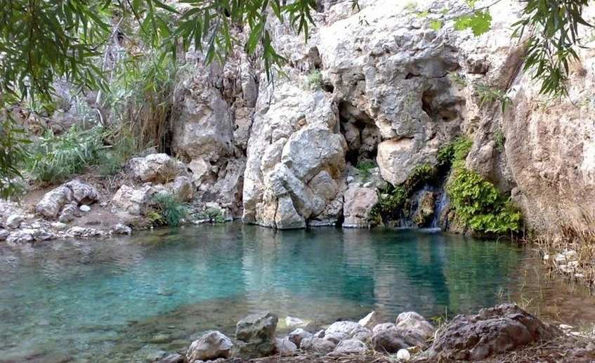 پارک جنگلی چاه کوتاه بوشهر