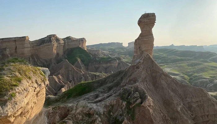 کلوت های بندر گناوه و دیلم