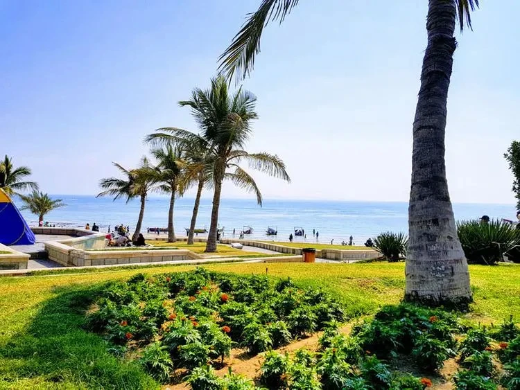 پارک ساحلی زیتون قشم