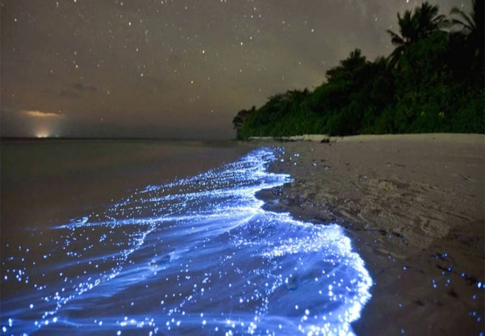 ساحل نقره ای جزیره هنگام قشم