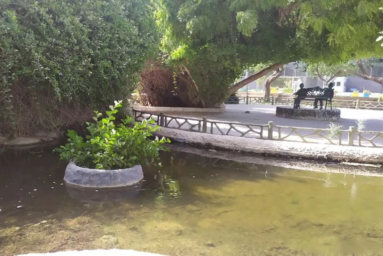 پارک آبشار و دلفین کیش