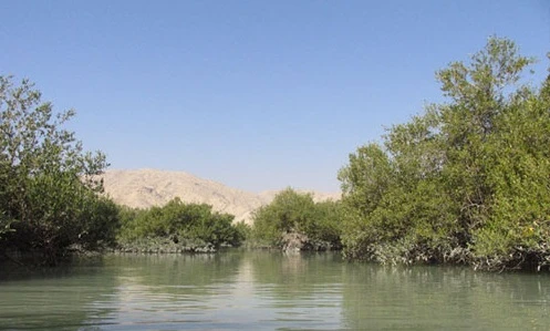 Заповедная зона Габрик и лес Хара в Джаске