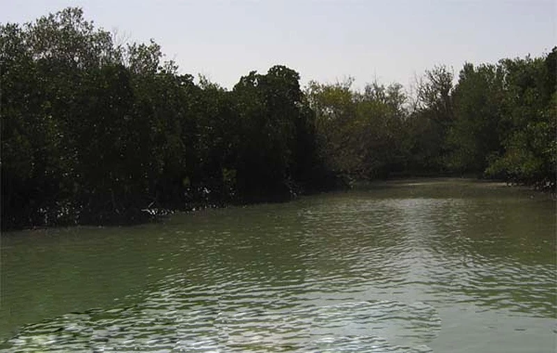 تالاب آذيني سيريك