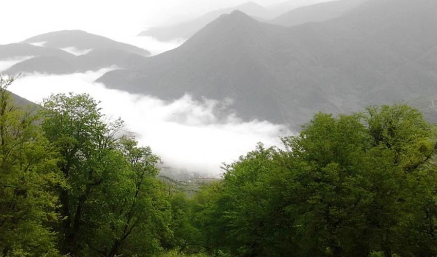 دشت سردانسر نخود چشمه گرگان