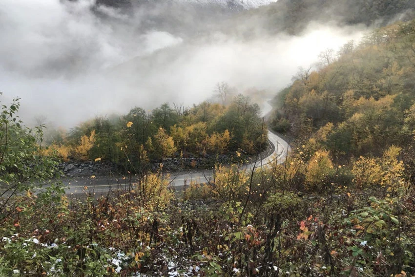 Forêt de Tuskestan Gorgan
