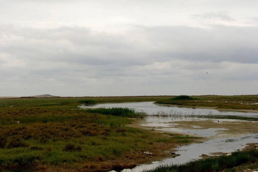 منطقه شکار ممنوع صوفیکم بندر ترکمن