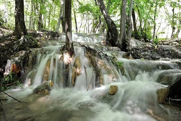 چشمه زاو کلاله